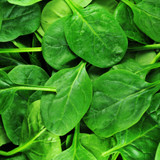 Leafy Greens Seed collection