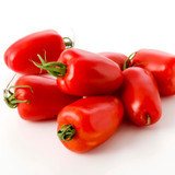 Tomato Seed Collection