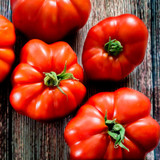 Tomato Seed Collection