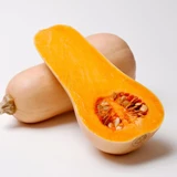 Squash Seed collection