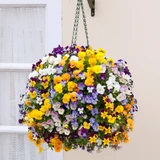Viola Teardrops Mix