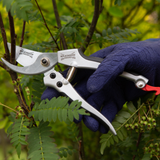 Wilkinson Sword Deluxe Bypass Pruners