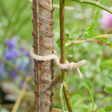 EcoJute Twist 5m