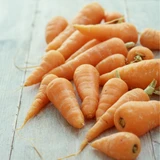 Carrot Short n’ Sweet