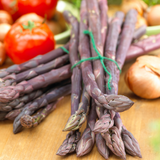 Asparagus 'Erasmus'
