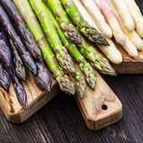 Asparagus Collection