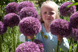 Allium 'Pinball Wizard' 20cm+