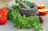 Apple Mint