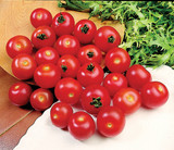 Tomato Gardeners Delight