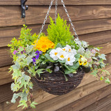 Mixed Floral & Foliage (Pre-Planted Basket)