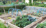 The benefits of owning allotments