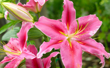What to Plant in April