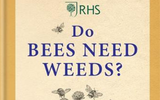 Parker’s Book Club: Do Bees Need Weeds?