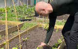 J. Parker's Staff Behind the Scenes | Jonathan's Northern Manchester Allotment