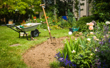 Gardening for Beginners: How to Start a Garden