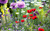 The Top Garden Trends for Autumn 2022