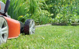 How to Mow Your Lawn - Gardening for Beginners