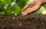 ​NEW to J. Parker’s - Seeds, Seeds, Seeds! 