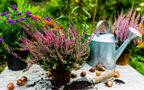 Gardening Trends for 2023 - Two Thirsty Gardeners