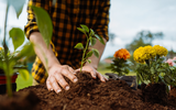 How to Care for Your Green Fingers - WIN with Pure Lakes