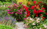 How to Grow a Low Maintenance Garden