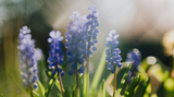Gardening Jobs for April