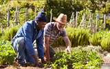 2021 Community Garden Competition Winners