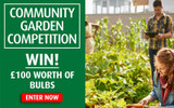 Community Garden Competition – WIN £100 WORTH OF BULBS