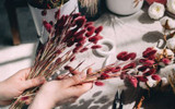 ​Dried Flowers - The Trend That’s Sweeping the Industry
