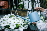 Gardening Jobs for July