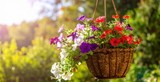 Gardening Jobs for June