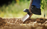 What is Organic Gardening?