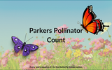 Parkers Pollinator Count