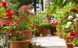 7 Ways to Make the Most of Small Spaces