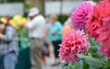 Top Trends Seen at RHS Chelsea 2024