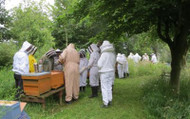 J. Parker’s to Partner with Mid Cheshire Beekeepers 