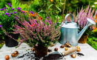 Lee Burkhill - Shaping Up Garden Design In the North