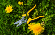 Beginner’s Guide to Starting a Garden