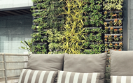 How to Create a DIY Vertical Garden