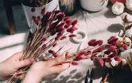 ​Dried Flowers - The Trend That’s Sweeping the Industry