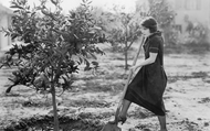 100 Years of Gardening Trends