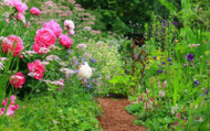 How to Create a Cottage Garden