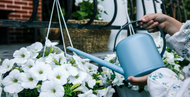 Gardening Jobs for July