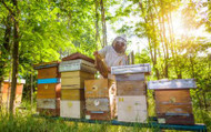 A Catch Up With Mid-Cheshire Beekeepers