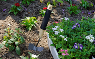 When is too late to plant summer flowering plants?