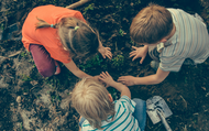 Why gardening should be taught in school