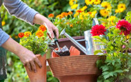 How to Prepare the Garden for Summer