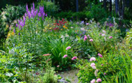 The Best Plants for Garden Borders