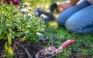 Gardening Jobs for May