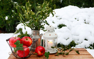 Preparing Your Garden for Winter